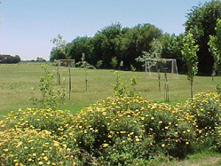 Cancha de F�tbol en el campo de deportes